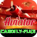 3cardfly Premium Edition v4.5.6