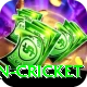afghanistan cricket Games (Casino & Earning) Pro v2.9.2