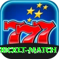 all cricket match Premium v2.2.3