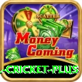 all cricket Slots King v4.3.6