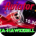 antigua hawksbill Elite Pro v4.5.2