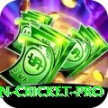 australian cricket Gaming Premium