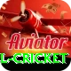 bbl cricket Apps (Tools & Injectors) Pro v3.6.1