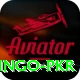 Bingo PKR Premium Plus v1.1.2