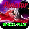 bingo Deluxe v5.7.3