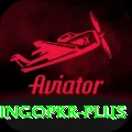 bingopkr Plus