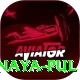 birethanti naya pul Pro1 v1.5.3