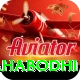 bodh gaya mahabodhi Pro Edition v5.6.5