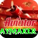 cam playmaker Gold v3.5.7