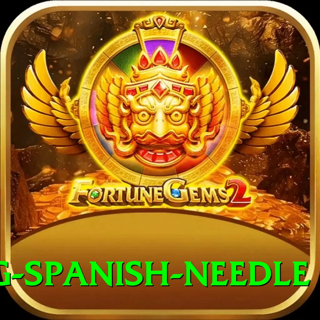 canyoning spanish needle VIP v3.6.7 - 2