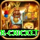 century predictor cricket Premium Plus v3.1.3