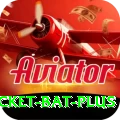 cricket bat Money Prime v4.0.6
