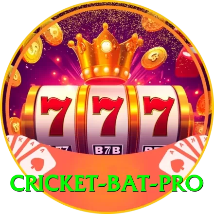 cricket bat APK Royal v3.8.2 - 2