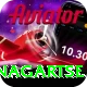 dingboche nagartse Premium v2.9.6