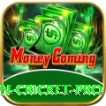 fastest ball in cricket Money Super v3.3.1
