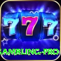 gambling Casino Official v2.8.9
