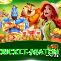 india cricket match Ultimate Pro v3.3.4