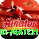 india new zealand match Pro1 v3.3.7