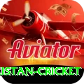 india pakistan cricket Ultimate Pro v5.1.3