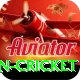 india pakistan cricket Ultimate Pro v5.1.3