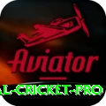 international cricket Champion v2.7.5
