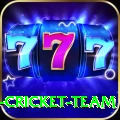 ireland cricket team Elite v4.3.0