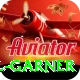 joel garner Premium v3.2.6