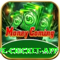 live cricket app Deluxe v1.3.2