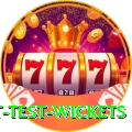 most test wickets Deluxe Pro v5.7.3