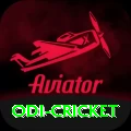 odi cricket Premium Edition v4.5.1