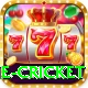 one cricket Games (Casino & Earning) Gold v4.1.5