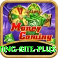 Pakistan Betting Site Mobile Elite
