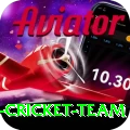 pakistan women cricket team Games (Casino & Earning) Gold v3.0.8