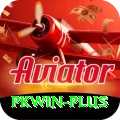 pkwin Gold Edition v4.5.6