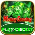 play cricket Plus Edition v5.9.8