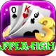 red snapper fish Apps (Tools & Injectors) Premium v4.2.5