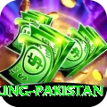 responsible gambling pakistan Apps (Tools & Injectors) Pro v3.5.3