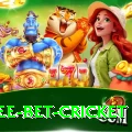 risk free bet cricket Premium Plus v5.8.8
