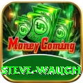 steve waugh Deluxe Pro v4.2.7