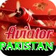 t20 world cup india pakistan Premium Edition v4.8.1