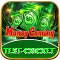 test cricket Deluxe v5.1.8