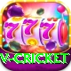 v cricket Deluxe Edition v3.0.0