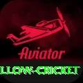 willow cricket Apps (Tools & Injectors) Gold v4.8.4