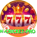 willow cricket Live Turbo v5.7.0