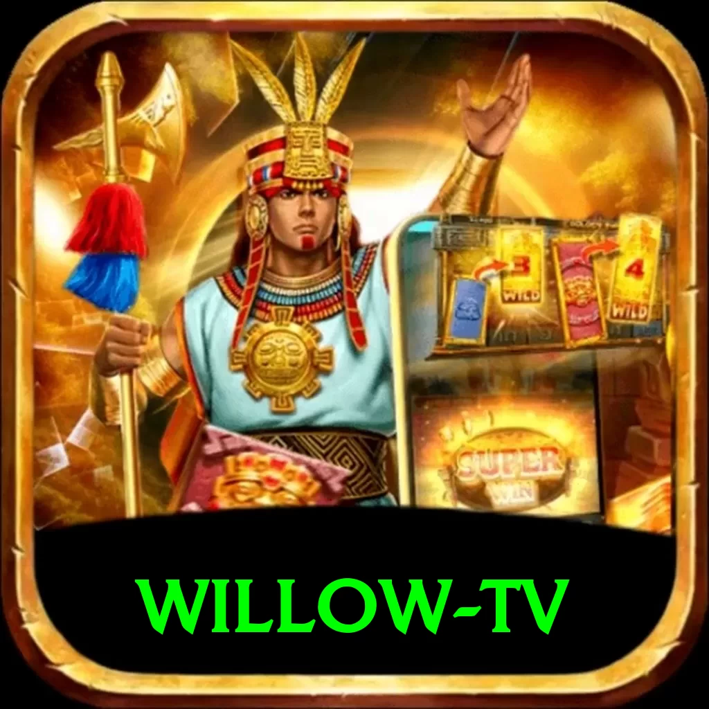 willow tv Pro Edition v2.5.2 - 2